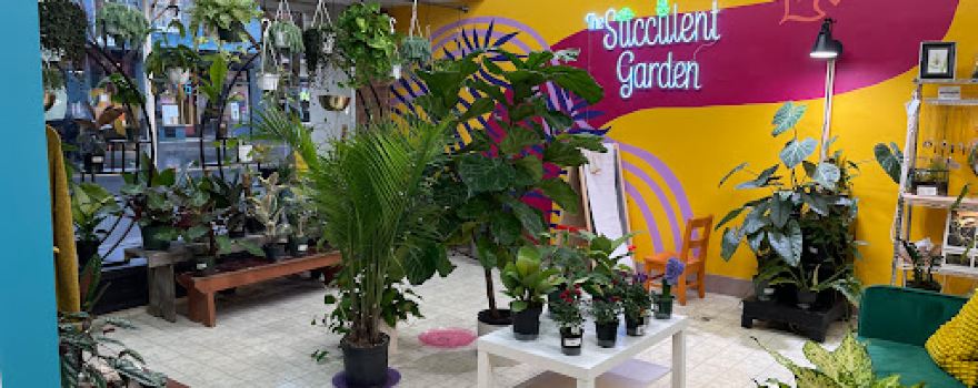 The Succulent Garden