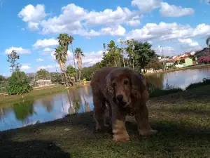 Parque Da Lagoa