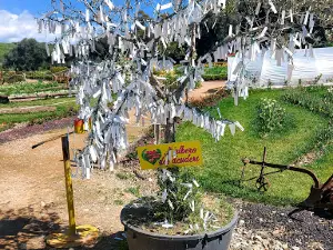 Il giardino di Turri