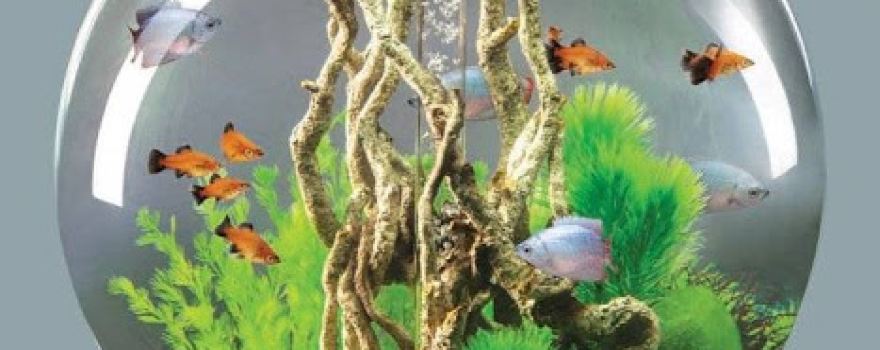 Acres Supply Garden & Aquatics
