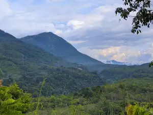 Taman Panatapan