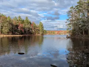 Douglas State Forest