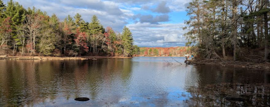 Douglas State Forest