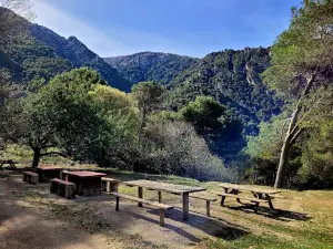 Area Recreativa El Alcázar