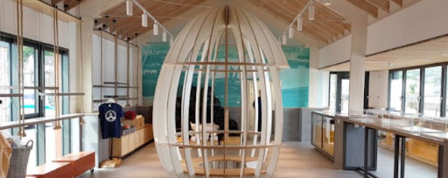 The Egg Shed