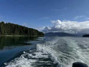 Hooked Adventures
