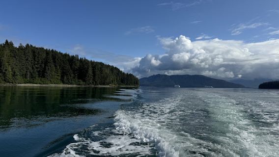 Hooked Adventures