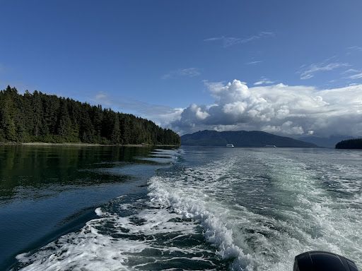 Hooked Adventures