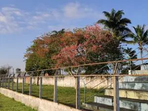 Estádio Municipal Pedro Coni Neto