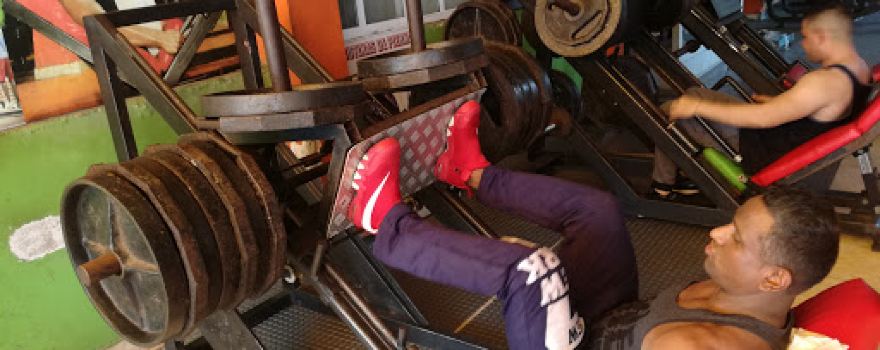 Universal Gym Fitness