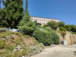 Saint Nektarios & Fanourios Holy Orthodox Monastery