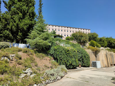 Saint Nektarios & Fanourios Holy Orthodox Monastery