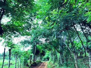 Azuero Peninsula