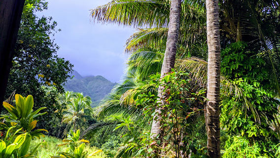 와이후 테라스 공원