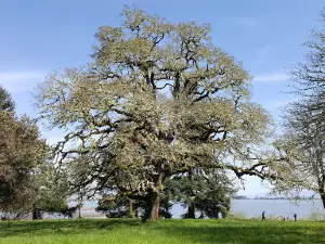 Zumwalt County Park