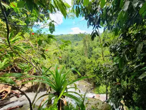 Air Terjun Raja 7