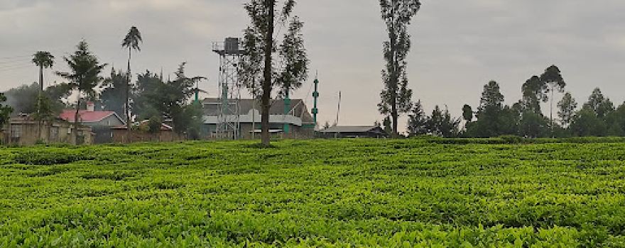 Mosque