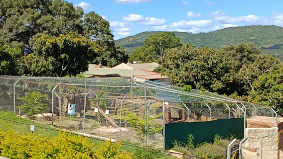 Pumbaa Wildlife Park & Accommodation