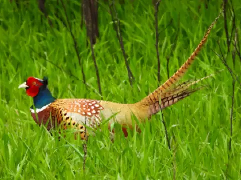 Union Slough National Wildlife Refuge