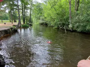 Carson Park