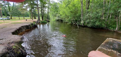 Carson Park