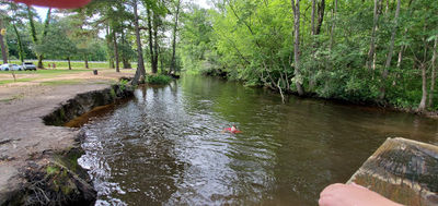 Carson Park