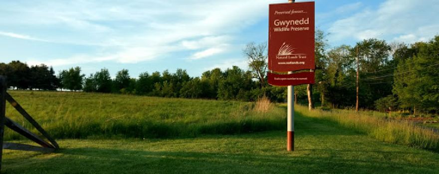 Natural Lands' Gwynedd Preserve