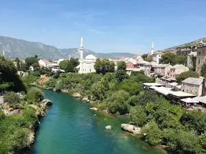 Kula Tara
