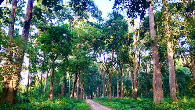 Chitwan National Park Headquarter, Kasara, Chitwan