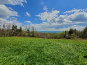 Mt Airy Overlook