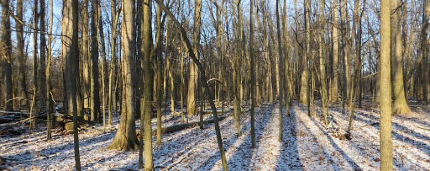 Unadilla State Wildlife Area