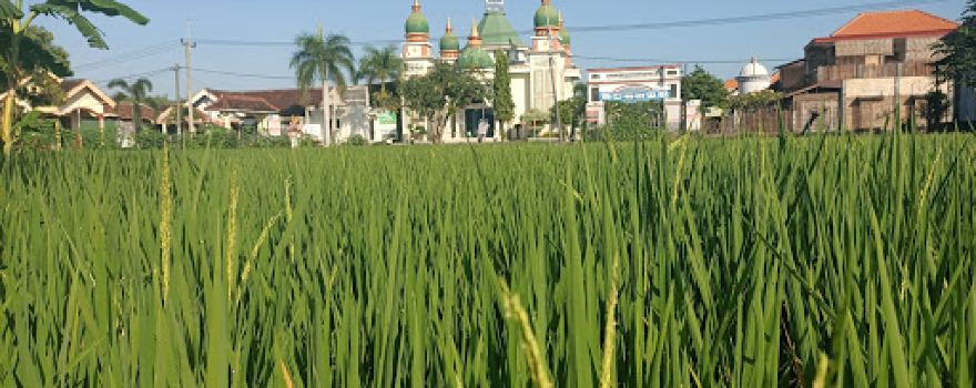 Masjid Al Hikmah