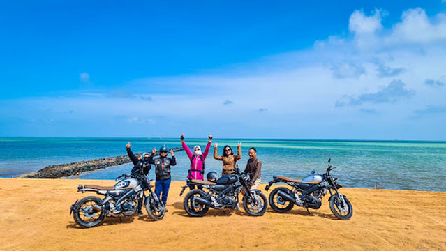 Patung Penyu Raksasa