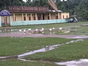 Janata H.S Field