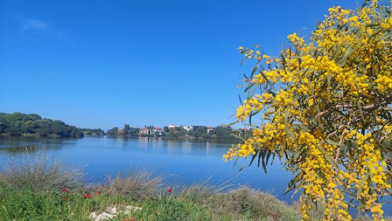 Amvrakikos Wetlands National Park