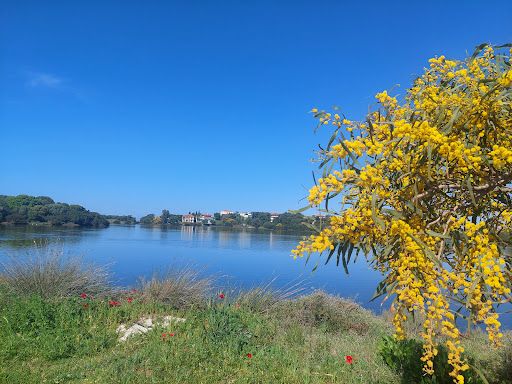Amvrakikos Wetlands National Park