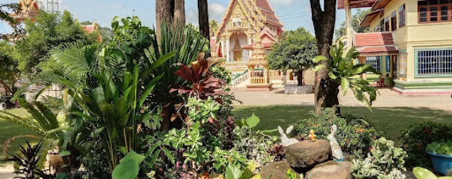 Wat Nong Tat Yai home