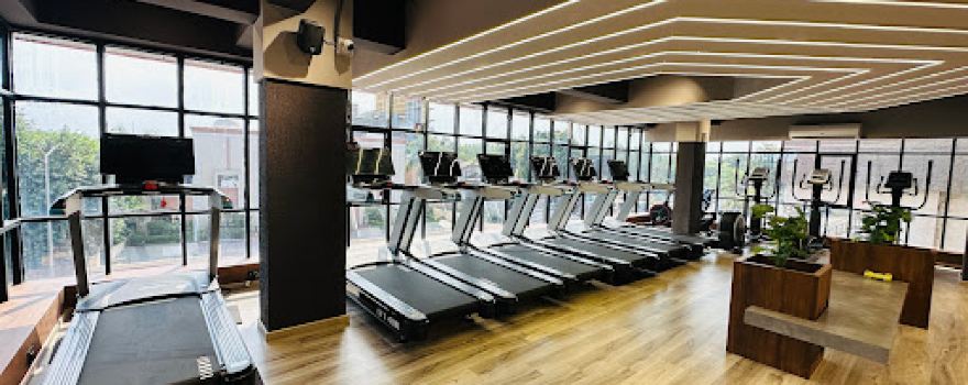 Optimum Fitness