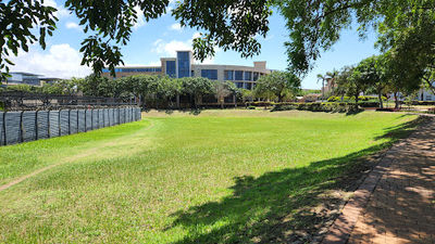 Hollywoodbets Kingsmead Cricket Stadium