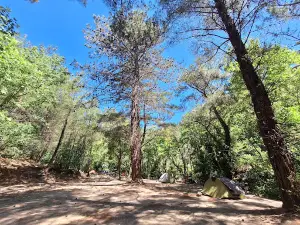 Troltunga Camping - Kazdağları