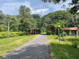 Khu Du Lịch Sinh Thái Bản Đôn - Ánh Dương