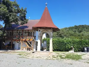 Monastery Dealu Mare