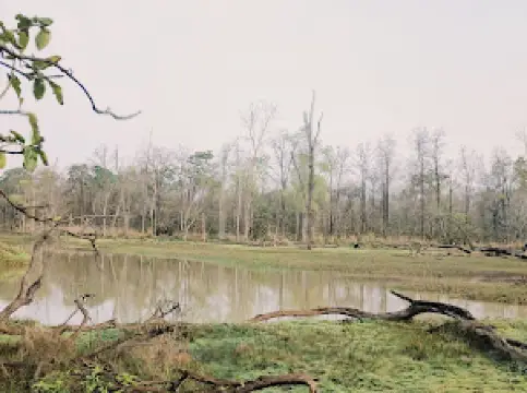 Palasgaon Night Safari Gate