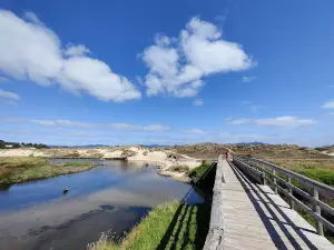Praia de Aguieira