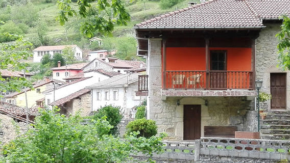 Amieva