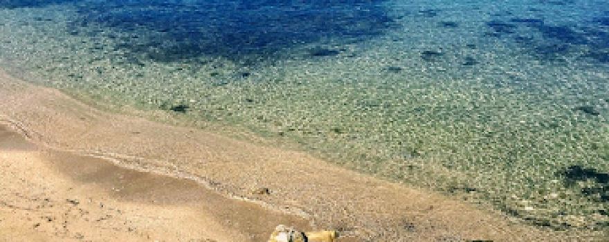 Plaža Perilo
