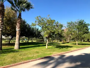 Seyhan River