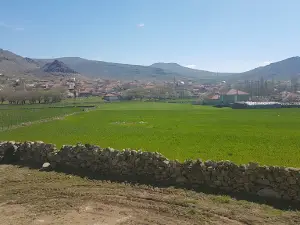 Adnan Joy City Stadium