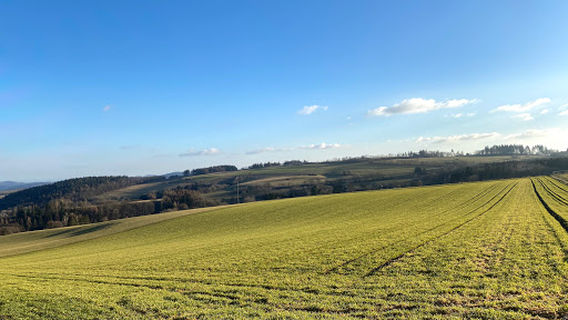 Erlebniswald Steinrausch