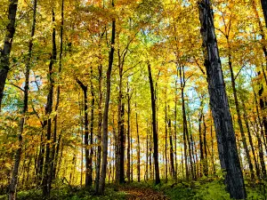 Wildcat Creek Reservoir Park